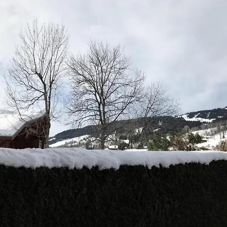 Edelweiss - Edelweiss B3 Mae-0844 * Megève