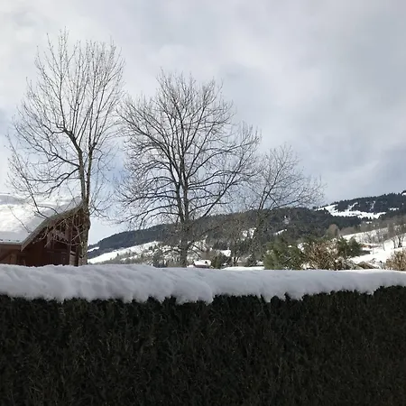 Edelweiss - Edelweiss B3 Mae-0844 Megève