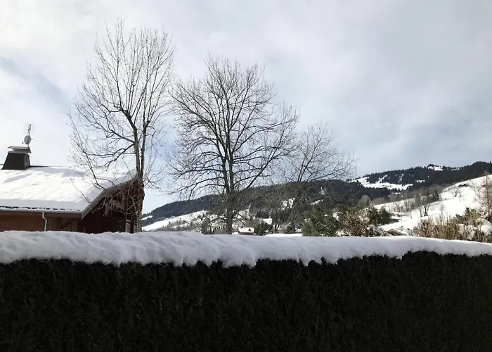 Edelweiss - Edelweiss B3 Mae-0844 * Megève